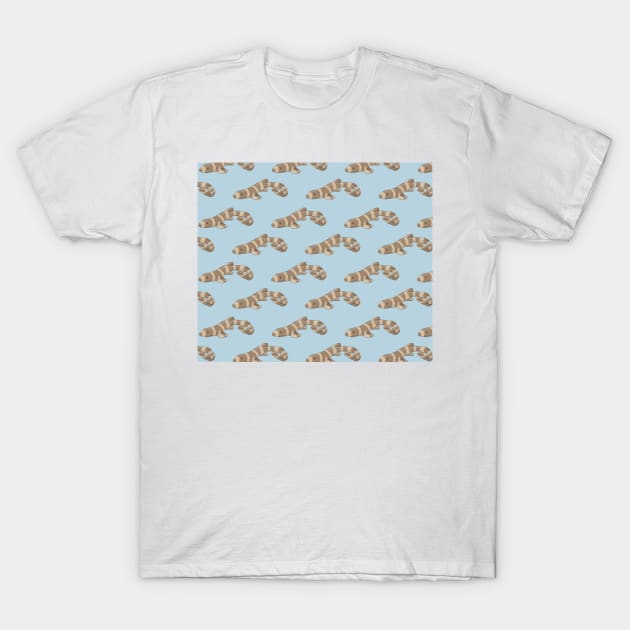 Amazing Brown Banded Bamboo Shark T-Shirt by ButtonandSquirt